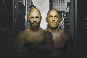 UFC 295